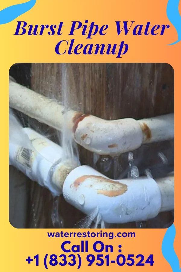 Burst Pipe Water Cleanup in Kamaili, HI