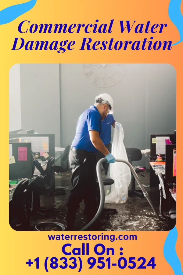 Commercial Water Damage Restoration in Kamaili, HI