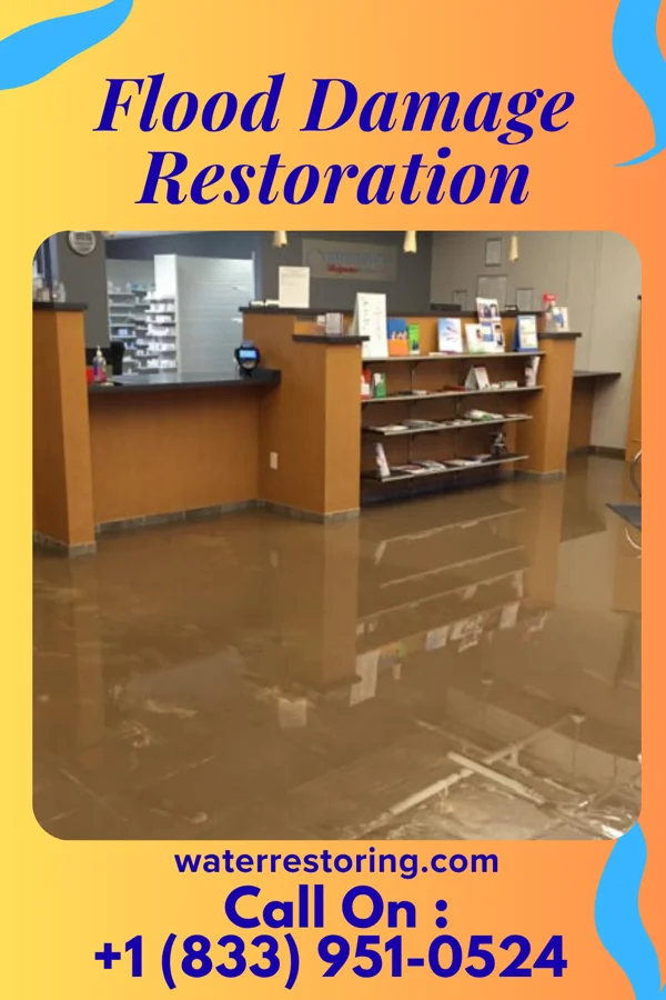 Flood Damage Restoration in Kamaili, HI