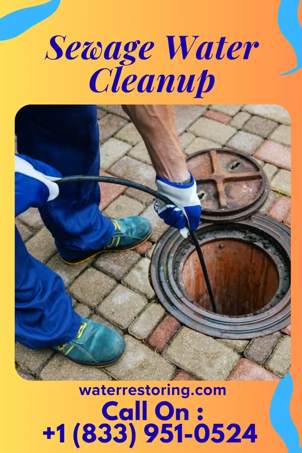 Sewage Water Cleanup in Kamaili, HI