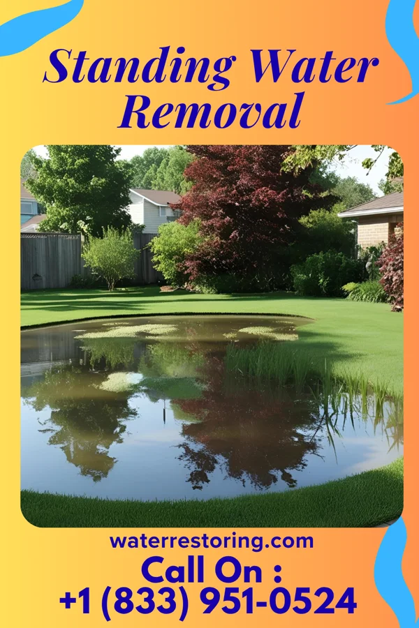 Standing Water Removal in Kamaili, HI